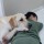dog welfare Avatar